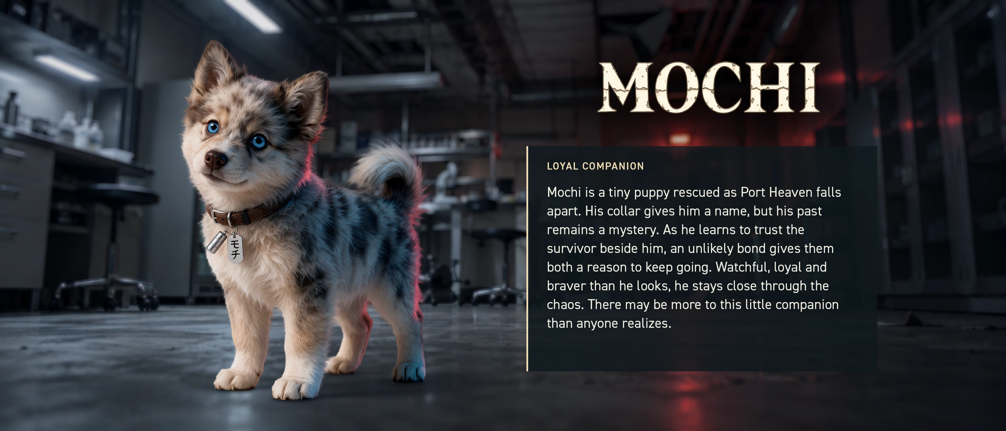 Full-size Mochi character biography with his puppy portrait and loyal companion backstory.